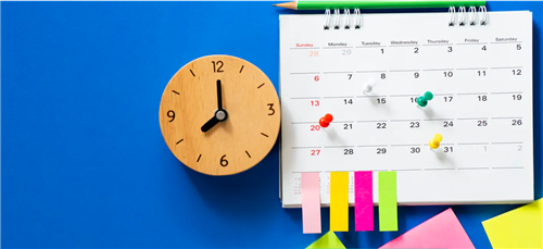 Daily Schedule 